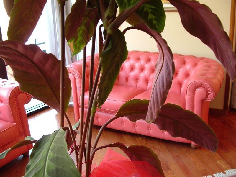 Waldorf Suite Hotel Rimini Buitenkant foto